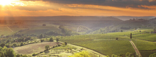 header_agriculture_Fotolia_41776559 header_agriculture_Fotolia_41776559